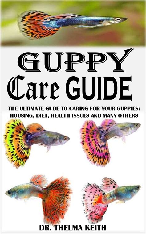 guppy fish|Guppy Fish Care Guide & Species Profile .